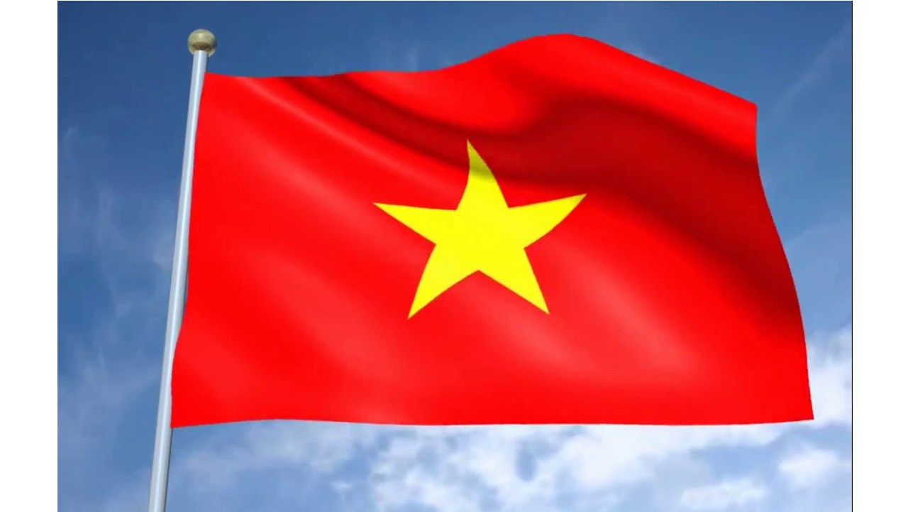 Cung cấp Cờ Tổ Quốc mọi kích thước giá rẻ - Ảnh 13
